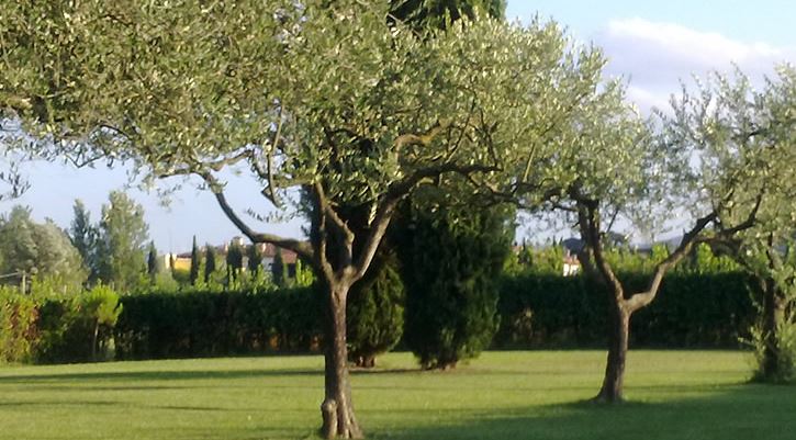 Agriturismo Toscana