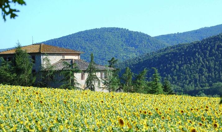 Agriturismo Siena