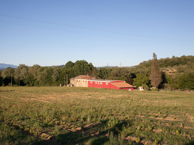 Agriturismo Arezzo Italien