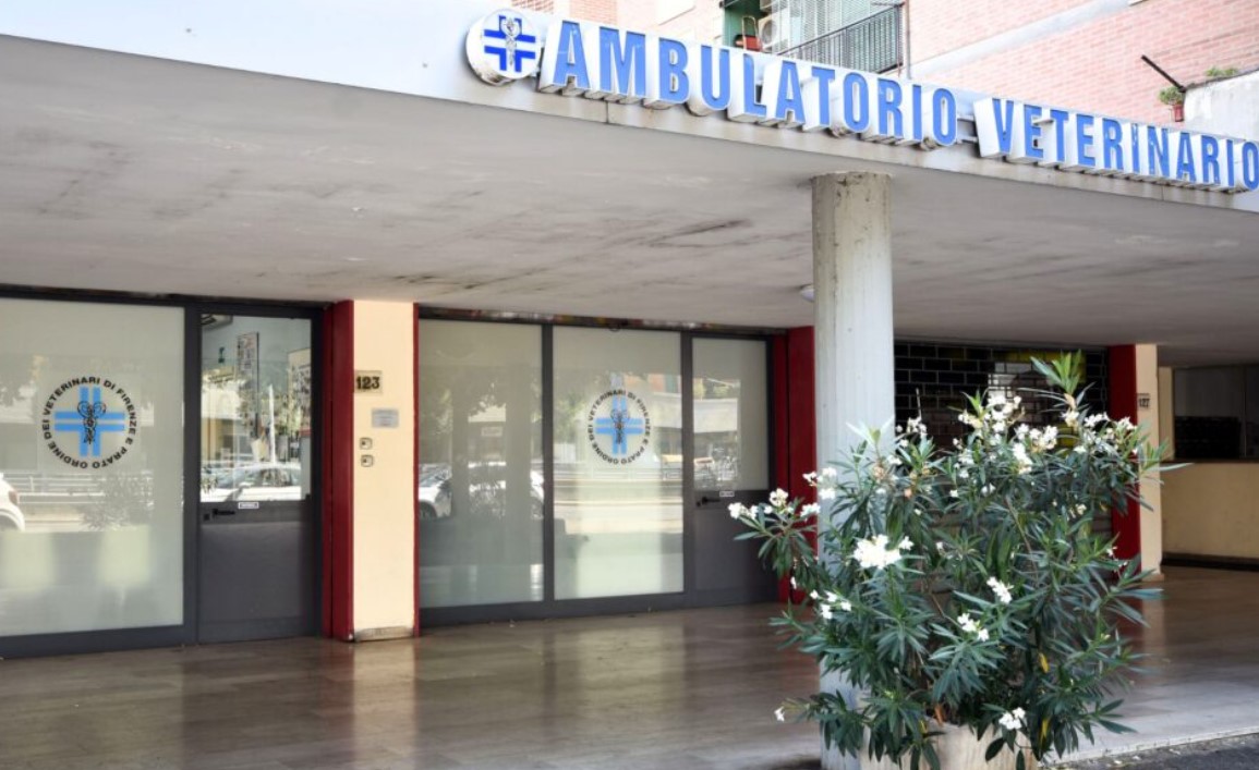 Veterinario Firenze