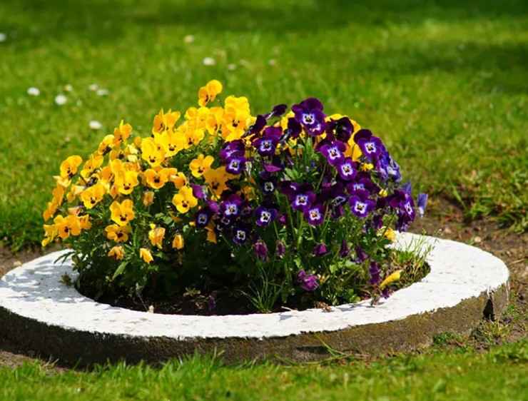 Progettazione Giardini Firenze